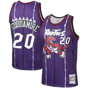 Bonito Perfecto Comodo Damon Stoudamire Toronto Raptors 1995/96 Hardwood Classics Swingman Jersey Purple  para la gran final